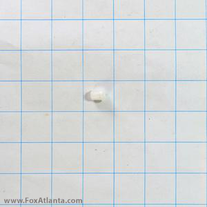 watermarked/f/WHO/WHOWP21258/Md_WHOWP21258 (G).png